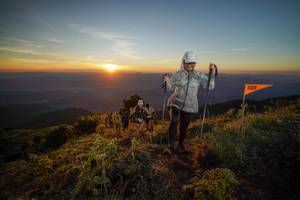 BIB: 
                            <button type="button" onclick="openModal(19007250)" class="btn btn-primary btn-sm float-right btn-popup" data-toggle="modal" data-target=".modal-high-quality">
                        <i class="fas fa-shopping-cart"></i> Add to Cart
                    </button>
                                            <button type="button" onclick="isThisMe(19007250, true)" class="btn btn-success btn-sm float-right btn-popup btn-isme hidden" data-toggle="tooltip" data-placement="bottom" title="นี่คือรูปของคุณใช่ไหม คลิกที่นี่เพื่อเอาเข้าอัลบั้ม">
                        <i class="fas fa-plus"></i> Add to album
                    </button>
                    <button type="button" onclick="isThisMe(19007250, false)" class="btn btn-warning btn-sm float-right btn-popup btn-isnotme hidden">
                        <i class="fas fa-ban"></i> Remove from album
                    </button>