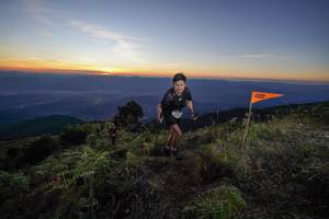 BIB: 
                            <button type="button" onclick="openModal(19004974)" class="btn btn-primary btn-sm float-right btn-popup" data-toggle="modal" data-target=".modal-high-quality">
                        <i class="fas fa-shopping-cart"></i> Add to Cart
                    </button>
                                            <button type="button" onclick="isThisMe(19004974, true)" class="btn btn-success btn-sm float-right btn-popup btn-isme hidden" data-toggle="tooltip" data-placement="bottom" title="นี่คือรูปของคุณใช่ไหม คลิกที่นี่เพื่อเอาเข้าอัลบั้ม">
                        <i class="fas fa-plus"></i> Add to album
                    </button>
                    <button type="button" onclick="isThisMe(19004974, false)" class="btn btn-warning btn-sm float-right btn-popup btn-isnotme hidden">
                        <i class="fas fa-ban"></i> Remove from album
                    </button>