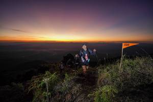 BIB: 
                            <button type="button" onclick="openModal(19008038)" class="btn btn-primary btn-sm float-right btn-popup" data-toggle="modal" data-target=".modal-high-quality">
                        <i class="fas fa-shopping-cart"></i> Add to Cart
                    </button>
                                            <button type="button" onclick="isThisMe(19008038, true)" class="btn btn-success btn-sm float-right btn-popup btn-isme hidden" data-toggle="tooltip" data-placement="bottom" title="นี่คือรูปของคุณใช่ไหม คลิกที่นี่เพื่อเอาเข้าอัลบั้ม">
                        <i class="fas fa-plus"></i> Add to album
                    </button>
                    <button type="button" onclick="isThisMe(19008038, false)" class="btn btn-warning btn-sm float-right btn-popup btn-isnotme hidden">
                        <i class="fas fa-ban"></i> Remove from album
                    </button>