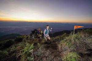 BIB: 190
                            <button type="button" onclick="openModal(19005727)" class="btn btn-primary btn-sm float-right btn-popup" data-toggle="modal" data-target=".modal-high-quality">
                        <i class="fas fa-shopping-cart"></i> Add to Cart
                    </button>
                                            <button type="button" onclick="isThisMe(19005727, true)" class="btn btn-success btn-sm float-right btn-popup btn-isme hidden" data-toggle="tooltip" data-placement="bottom" title="นี่คือรูปของคุณใช่ไหม คลิกที่นี่เพื่อเอาเข้าอัลบั้ม">
                        <i class="fas fa-plus"></i> Add to album
                    </button>
                    <button type="button" onclick="isThisMe(19005727, false)" class="btn btn-warning btn-sm float-right btn-popup btn-isnotme hidden">
                        <i class="fas fa-ban"></i> Remove from album
                    </button>