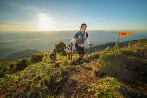 BIB: 
                            <button type="button" onclick="openModal(19003808)" class="btn btn-primary btn-sm float-right btn-popup" data-toggle="modal" data-target=".modal-high-quality">
                        <i class="fas fa-shopping-cart"></i> Add to Cart
                    </button>
                                            <button type="button" onclick="isThisMe(19003808, true)" class="btn btn-success btn-sm float-right btn-popup btn-isme hidden" data-toggle="tooltip" data-placement="bottom" title="นี่คือรูปของคุณใช่ไหม คลิกที่นี่เพื่อเอาเข้าอัลบั้ม">
                        <i class="fas fa-plus"></i> Add to album
                    </button>
                    <button type="button" onclick="isThisMe(19003808, false)" class="btn btn-warning btn-sm float-right btn-popup btn-isnotme hidden">
                        <i class="fas fa-ban"></i> Remove from album
                    </button>