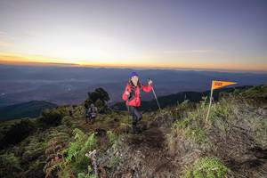 BIB: 
                            <button type="button" onclick="openModal(19005519)" class="btn btn-primary btn-sm float-right btn-popup" data-toggle="modal" data-target=".modal-high-quality">
                        <i class="fas fa-shopping-cart"></i> Add to Cart
                    </button>
                                            <button type="button" onclick="isThisMe(19005519, true)" class="btn btn-success btn-sm float-right btn-popup btn-isme hidden" data-toggle="tooltip" data-placement="bottom" title="นี่คือรูปของคุณใช่ไหม คลิกที่นี่เพื่อเอาเข้าอัลบั้ม">
                        <i class="fas fa-plus"></i> Add to album
                    </button>
                    <button type="button" onclick="isThisMe(19005519, false)" class="btn btn-warning btn-sm float-right btn-popup btn-isnotme hidden">
                        <i class="fas fa-ban"></i> Remove from album
                    </button>