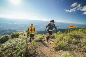 BIB: 
                            <button type="button" onclick="openModal(18998047)" class="btn btn-primary btn-sm float-right btn-popup" data-toggle="modal" data-target=".modal-high-quality">
                        <i class="fas fa-shopping-cart"></i> Add to Cart
                    </button>
                                            <button type="button" onclick="isThisMe(18998047, true)" class="btn btn-success btn-sm float-right btn-popup btn-isme hidden" data-toggle="tooltip" data-placement="bottom" title="นี่คือรูปของคุณใช่ไหม คลิกที่นี่เพื่อเอาเข้าอัลบั้ม">
                        <i class="fas fa-plus"></i> Add to album
                    </button>
                    <button type="button" onclick="isThisMe(18998047, false)" class="btn btn-warning btn-sm float-right btn-popup btn-isnotme hidden">
                        <i class="fas fa-ban"></i> Remove from album
                    </button>