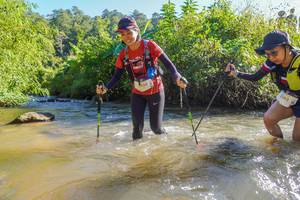 BIB: 2439, 3163
                            <button type="button" onclick="openModal(19089336)" class="btn btn-primary btn-sm float-right btn-popup" data-toggle="modal" data-target=".modal-high-quality">
                        <i class="fas fa-shopping-cart"></i> Add to Cart
                    </button>
                                            <button type="button" onclick="isThisMe(19089336, true)" class="btn btn-success btn-sm float-right btn-popup btn-isme hidden" data-toggle="tooltip" data-placement="bottom" title="นี่คือรูปของคุณใช่ไหม คลิกที่นี่เพื่อเอาเข้าอัลบั้ม">
                        <i class="fas fa-plus"></i> Add to album
                    </button>
                    <button type="button" onclick="isThisMe(19089336, false)" class="btn btn-warning btn-sm float-right btn-popup btn-isnotme hidden">
                        <i class="fas fa-ban"></i> Remove from album
                    </button>