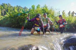 BIB: 249, 3017, 
                            <button type="button" onclick="openModal(19089251)" class="btn btn-primary btn-sm float-right btn-popup" data-toggle="modal" data-target=".modal-high-quality">
                        <i class="fas fa-shopping-cart"></i> Add to Cart
                    </button>
                                            <button type="button" onclick="isThisMe(19089251, true)" class="btn btn-success btn-sm float-right btn-popup btn-isme hidden" data-toggle="tooltip" data-placement="bottom" title="นี่คือรูปของคุณใช่ไหม คลิกที่นี่เพื่อเอาเข้าอัลบั้ม">
                        <i class="fas fa-plus"></i> Add to album
                    </button>
                    <button type="button" onclick="isThisMe(19089251, false)" class="btn btn-warning btn-sm float-right btn-popup btn-isnotme hidden">
                        <i class="fas fa-ban"></i> Remove from album
                    </button>