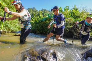 BIB: 2555
                            <button type="button" onclick="openModal(19090583)" class="btn btn-primary btn-sm float-right btn-popup" data-toggle="modal" data-target=".modal-high-quality">
                        <i class="fas fa-shopping-cart"></i> Add to Cart
                    </button>
                                            <button type="button" onclick="isThisMe(19090583, true)" class="btn btn-success btn-sm float-right btn-popup btn-isme hidden" data-toggle="tooltip" data-placement="bottom" title="นี่คือรูปของคุณใช่ไหม คลิกที่นี่เพื่อเอาเข้าอัลบั้ม">
                        <i class="fas fa-plus"></i> Add to album
                    </button>
                    <button type="button" onclick="isThisMe(19090583, false)" class="btn btn-warning btn-sm float-right btn-popup btn-isnotme hidden">
                        <i class="fas fa-ban"></i> Remove from album
                    </button>