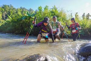 BIB: 2464, 2017
                            <button type="button" onclick="openModal(19089276)" class="btn btn-primary btn-sm float-right btn-popup" data-toggle="modal" data-target=".modal-high-quality">
                        <i class="fas fa-shopping-cart"></i> Add to Cart
                    </button>
                                            <button type="button" onclick="isThisMe(19089276, true)" class="btn btn-success btn-sm float-right btn-popup btn-isme hidden" data-toggle="tooltip" data-placement="bottom" title="นี่คือรูปของคุณใช่ไหม คลิกที่นี่เพื่อเอาเข้าอัลบั้ม">
                        <i class="fas fa-plus"></i> Add to album
                    </button>
                    <button type="button" onclick="isThisMe(19089276, false)" class="btn btn-warning btn-sm float-right btn-popup btn-isnotme hidden">
                        <i class="fas fa-ban"></i> Remove from album
                    </button>