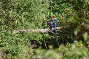 BIB: 
                            <button type="button" onclick="openModal(19093904)" class="btn btn-primary btn-sm float-right btn-popup" data-toggle="modal" data-target=".modal-high-quality">
                        <i class="fas fa-shopping-cart"></i> Add to Cart
                    </button>
                                            <button type="button" onclick="isThisMe(19093904, true)" class="btn btn-success btn-sm float-right btn-popup btn-isme hidden" data-toggle="tooltip" data-placement="bottom" title="นี่คือรูปของคุณใช่ไหม คลิกที่นี่เพื่อเอาเข้าอัลบั้ม">
                        <i class="fas fa-plus"></i> Add to album
                    </button>
                    <button type="button" onclick="isThisMe(19093904, false)" class="btn btn-warning btn-sm float-right btn-popup btn-isnotme hidden">
                        <i class="fas fa-ban"></i> Remove from album
                    </button>