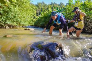 BIB: 
                            <button type="button" onclick="openModal(19092084)" class="btn btn-primary btn-sm float-right btn-popup" data-toggle="modal" data-target=".modal-high-quality">
                        <i class="fas fa-shopping-cart"></i> Add to Cart
                    </button>
                                            <button type="button" onclick="isThisMe(19092084, true)" class="btn btn-success btn-sm float-right btn-popup btn-isme hidden" data-toggle="tooltip" data-placement="bottom" title="นี่คือรูปของคุณใช่ไหม คลิกที่นี่เพื่อเอาเข้าอัลบั้ม">
                        <i class="fas fa-plus"></i> Add to album
                    </button>
                    <button type="button" onclick="isThisMe(19092084, false)" class="btn btn-warning btn-sm float-right btn-popup btn-isnotme hidden">
                        <i class="fas fa-ban"></i> Remove from album
                    </button>