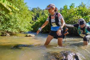 BIB: 3523
                            <button type="button" onclick="openModal(19091625)" class="btn btn-primary btn-sm float-right btn-popup" data-toggle="modal" data-target=".modal-high-quality">
                        <i class="fas fa-shopping-cart"></i> Add to Cart
                    </button>
                                            <button type="button" onclick="isThisMe(19091625, true)" class="btn btn-success btn-sm float-right btn-popup btn-isme hidden" data-toggle="tooltip" data-placement="bottom" title="นี่คือรูปของคุณใช่ไหม คลิกที่นี่เพื่อเอาเข้าอัลบั้ม">
                        <i class="fas fa-plus"></i> Add to album
                    </button>
                    <button type="button" onclick="isThisMe(19091625, false)" class="btn btn-warning btn-sm float-right btn-popup btn-isnotme hidden">
                        <i class="fas fa-ban"></i> Remove from album
                    </button>