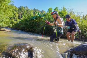 BIB: 
                            <button type="button" onclick="openModal(19090542)" class="btn btn-primary btn-sm float-right btn-popup" data-toggle="modal" data-target=".modal-high-quality">
                        <i class="fas fa-shopping-cart"></i> Add to Cart
                    </button>
                                            <button type="button" onclick="isThisMe(19090542, true)" class="btn btn-success btn-sm float-right btn-popup btn-isme hidden" data-toggle="tooltip" data-placement="bottom" title="นี่คือรูปของคุณใช่ไหม คลิกที่นี่เพื่อเอาเข้าอัลบั้ม">
                        <i class="fas fa-plus"></i> Add to album
                    </button>
                    <button type="button" onclick="isThisMe(19090542, false)" class="btn btn-warning btn-sm float-right btn-popup btn-isnotme hidden">
                        <i class="fas fa-ban"></i> Remove from album
                    </button>