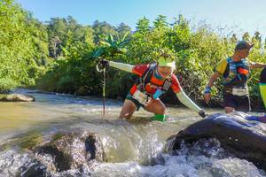 BIB: 3229
                            <button type="button" onclick="openModal(19089789)" class="btn btn-primary btn-sm float-right btn-popup" data-toggle="modal" data-target=".modal-high-quality">
                        <i class="fas fa-shopping-cart"></i> Add to Cart
                    </button>
                                            <button type="button" onclick="isThisMe(19089789, true)" class="btn btn-success btn-sm float-right btn-popup btn-isme hidden" data-toggle="tooltip" data-placement="bottom" title="นี่คือรูปของคุณใช่ไหม คลิกที่นี่เพื่อเอาเข้าอัลบั้ม">
                        <i class="fas fa-plus"></i> Add to album
                    </button>
                    <button type="button" onclick="isThisMe(19089789, false)" class="btn btn-warning btn-sm float-right btn-popup btn-isnotme hidden">
                        <i class="fas fa-ban"></i> Remove from album
                    </button>