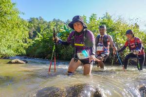 BIB: 246, 3017
                            <button type="button" onclick="openModal(19089249)" class="btn btn-primary btn-sm float-right btn-popup" data-toggle="modal" data-target=".modal-high-quality">
                        <i class="fas fa-shopping-cart"></i> Add to Cart
                    </button>
                                            <button type="button" onclick="isThisMe(19089249, true)" class="btn btn-success btn-sm float-right btn-popup btn-isme hidden" data-toggle="tooltip" data-placement="bottom" title="นี่คือรูปของคุณใช่ไหม คลิกที่นี่เพื่อเอาเข้าอัลบั้ม">
                        <i class="fas fa-plus"></i> Add to album
                    </button>
                    <button type="button" onclick="isThisMe(19089249, false)" class="btn btn-warning btn-sm float-right btn-popup btn-isnotme hidden">
                        <i class="fas fa-ban"></i> Remove from album
                    </button>