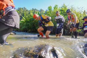 BIB: 130
                            <button type="button" onclick="openModal(19089199)" class="btn btn-primary btn-sm float-right btn-popup" data-toggle="modal" data-target=".modal-high-quality">
                        <i class="fas fa-shopping-cart"></i> Add to Cart
                    </button>
                                            <button type="button" onclick="isThisMe(19089199, true)" class="btn btn-success btn-sm float-right btn-popup btn-isme hidden" data-toggle="tooltip" data-placement="bottom" title="นี่คือรูปของคุณใช่ไหม คลิกที่นี่เพื่อเอาเข้าอัลบั้ม">
                        <i class="fas fa-plus"></i> Add to album
                    </button>
                    <button type="button" onclick="isThisMe(19089199, false)" class="btn btn-warning btn-sm float-right btn-popup btn-isnotme hidden">
                        <i class="fas fa-ban"></i> Remove from album
                    </button>