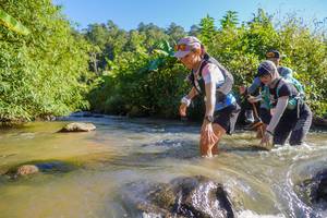 BIB: 
                            <button type="button" onclick="openModal(19091633)" class="btn btn-primary btn-sm float-right btn-popup" data-toggle="modal" data-target=".modal-high-quality">
                        <i class="fas fa-shopping-cart"></i> Add to Cart
                    </button>
                                            <button type="button" onclick="isThisMe(19091633, true)" class="btn btn-success btn-sm float-right btn-popup btn-isme hidden" data-toggle="tooltip" data-placement="bottom" title="นี่คือรูปของคุณใช่ไหม คลิกที่นี่เพื่อเอาเข้าอัลบั้ม">
                        <i class="fas fa-plus"></i> Add to album
                    </button>
                    <button type="button" onclick="isThisMe(19091633, false)" class="btn btn-warning btn-sm float-right btn-popup btn-isnotme hidden">
                        <i class="fas fa-ban"></i> Remove from album
                    </button>