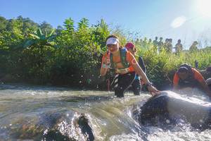 BIB: 3514
                            <button type="button" onclick="openModal(19089023)" class="btn btn-primary btn-sm float-right btn-popup" data-toggle="modal" data-target=".modal-high-quality">
                        <i class="fas fa-shopping-cart"></i> Add to Cart
                    </button>
                                            <button type="button" onclick="isThisMe(19089023, true)" class="btn btn-success btn-sm float-right btn-popup btn-isme hidden" data-toggle="tooltip" data-placement="bottom" title="นี่คือรูปของคุณใช่ไหม คลิกที่นี่เพื่อเอาเข้าอัลบั้ม">
                        <i class="fas fa-plus"></i> Add to album
                    </button>
                    <button type="button" onclick="isThisMe(19089023, false)" class="btn btn-warning btn-sm float-right btn-popup btn-isnotme hidden">
                        <i class="fas fa-ban"></i> Remove from album
                    </button>