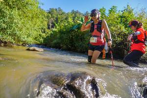 BIB: 1208
                            <button type="button" onclick="openModal(19091977)" class="btn btn-primary btn-sm float-right btn-popup" data-toggle="modal" data-target=".modal-high-quality">
                        <i class="fas fa-shopping-cart"></i> Add to Cart
                    </button>
                                            <button type="button" onclick="isThisMe(19091977, true)" class="btn btn-success btn-sm float-right btn-popup btn-isme hidden" data-toggle="tooltip" data-placement="bottom" title="นี่คือรูปของคุณใช่ไหม คลิกที่นี่เพื่อเอาเข้าอัลบั้ม">
                        <i class="fas fa-plus"></i> Add to album
                    </button>
                    <button type="button" onclick="isThisMe(19091977, false)" class="btn btn-warning btn-sm float-right btn-popup btn-isnotme hidden">
                        <i class="fas fa-ban"></i> Remove from album
                    </button>