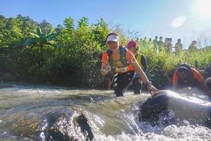 BIB: 
                            <button type="button" onclick="openModal(19089016)" class="btn btn-primary btn-sm float-right btn-popup" data-toggle="modal" data-target=".modal-high-quality">
                        <i class="fas fa-shopping-cart"></i> Add to Cart
                    </button>
                                            <button type="button" onclick="isThisMe(19089016, true)" class="btn btn-success btn-sm float-right btn-popup btn-isme hidden" data-toggle="tooltip" data-placement="bottom" title="นี่คือรูปของคุณใช่ไหม คลิกที่นี่เพื่อเอาเข้าอัลบั้ม">
                        <i class="fas fa-plus"></i> Add to album
                    </button>
                    <button type="button" onclick="isThisMe(19089016, false)" class="btn btn-warning btn-sm float-right btn-popup btn-isnotme hidden">
                        <i class="fas fa-ban"></i> Remove from album
                    </button>