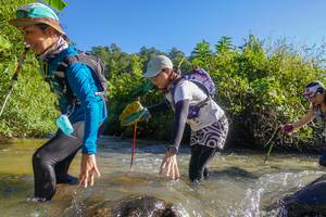 BIB: 
                            <button type="button" onclick="openModal(19090527)" class="btn btn-primary btn-sm float-right btn-popup" data-toggle="modal" data-target=".modal-high-quality">
                        <i class="fas fa-shopping-cart"></i> Add to Cart
                    </button>
                                            <button type="button" onclick="isThisMe(19090527, true)" class="btn btn-success btn-sm float-right btn-popup btn-isme hidden" data-toggle="tooltip" data-placement="bottom" title="นี่คือรูปของคุณใช่ไหม คลิกที่นี่เพื่อเอาเข้าอัลบั้ม">
                        <i class="fas fa-plus"></i> Add to album
                    </button>
                    <button type="button" onclick="isThisMe(19090527, false)" class="btn btn-warning btn-sm float-right btn-popup btn-isnotme hidden">
                        <i class="fas fa-ban"></i> Remove from album
                    </button>