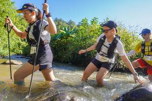 BIB: 2467, 1338
                            <button type="button" onclick="openModal(19091122)" class="btn btn-primary btn-sm float-right btn-popup" data-toggle="modal" data-target=".modal-high-quality">
                        <i class="fas fa-shopping-cart"></i> Add to Cart
                    </button>
                                            <button type="button" onclick="isThisMe(19091122, true)" class="btn btn-success btn-sm float-right btn-popup btn-isme hidden" data-toggle="tooltip" data-placement="bottom" title="นี่คือรูปของคุณใช่ไหม คลิกที่นี่เพื่อเอาเข้าอัลบั้ม">
                        <i class="fas fa-plus"></i> Add to album
                    </button>
                    <button type="button" onclick="isThisMe(19091122, false)" class="btn btn-warning btn-sm float-right btn-popup btn-isnotme hidden">
                        <i class="fas fa-ban"></i> Remove from album
                    </button>