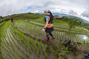 BIB: 
                            <button type="button" onclick="openModal(18631657)" class="btn btn-primary btn-sm float-right btn-popup" data-toggle="modal" data-target=".modal-high-quality">
                        <i class="fas fa-shopping-cart"></i> Add to Cart
                    </button>
                                            <button type="button" onclick="isThisMe(18631657, true)" class="btn btn-success btn-sm float-right btn-popup btn-isme hidden" data-toggle="tooltip" data-placement="bottom" title="นี่คือรูปของคุณใช่ไหม คลิกที่นี่เพื่อเอาเข้าอัลบั้ม">
                        <i class="fas fa-plus"></i> Add to album
                    </button>
                    <button type="button" onclick="isThisMe(18631657, false)" class="btn btn-warning btn-sm float-right btn-popup btn-isnotme hidden">
                        <i class="fas fa-ban"></i> Remove from album
                    </button>