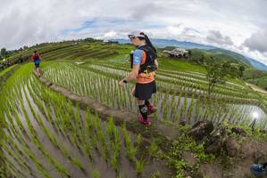 BIB: 
                            <button type="button" onclick="openModal(18631659)" class="btn btn-primary btn-sm float-right btn-popup" data-toggle="modal" data-target=".modal-high-quality">
                        <i class="fas fa-shopping-cart"></i> Add to Cart
                    </button>
                                            <button type="button" onclick="isThisMe(18631659, true)" class="btn btn-success btn-sm float-right btn-popup btn-isme hidden" data-toggle="tooltip" data-placement="bottom" title="นี่คือรูปของคุณใช่ไหม คลิกที่นี่เพื่อเอาเข้าอัลบั้ม">
                        <i class="fas fa-plus"></i> Add to album
                    </button>
                    <button type="button" onclick="isThisMe(18631659, false)" class="btn btn-warning btn-sm float-right btn-popup btn-isnotme hidden">
                        <i class="fas fa-ban"></i> Remove from album
                    </button>