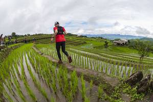 BIB: 
                            <button type="button" onclick="openModal(18631653)" class="btn btn-primary btn-sm float-right btn-popup" data-toggle="modal" data-target=".modal-high-quality">
                        <i class="fas fa-shopping-cart"></i> Add to Cart
                    </button>
                                            <button type="button" onclick="isThisMe(18631653, true)" class="btn btn-success btn-sm float-right btn-popup btn-isme hidden" data-toggle="tooltip" data-placement="bottom" title="นี่คือรูปของคุณใช่ไหม คลิกที่นี่เพื่อเอาเข้าอัลบั้ม">
                        <i class="fas fa-plus"></i> Add to album
                    </button>
                    <button type="button" onclick="isThisMe(18631653, false)" class="btn btn-warning btn-sm float-right btn-popup btn-isnotme hidden">
                        <i class="fas fa-ban"></i> Remove from album
                    </button>