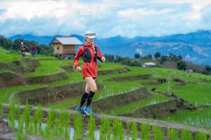 BIB: 
                            <button type="button" onclick="openModal(18622855)" class="btn btn-primary btn-sm float-right btn-popup" data-toggle="modal" data-target=".modal-high-quality">
                        <i class="fas fa-shopping-cart"></i> Add to Cart
                    </button>
                                            <button type="button" onclick="isThisMe(18622855, true)" class="btn btn-success btn-sm float-right btn-popup btn-isme hidden" data-toggle="tooltip" data-placement="bottom" title="นี่คือรูปของคุณใช่ไหม คลิกที่นี่เพื่อเอาเข้าอัลบั้ม">
                        <i class="fas fa-plus"></i> Add to album
                    </button>
                    <button type="button" onclick="isThisMe(18622855, false)" class="btn btn-warning btn-sm float-right btn-popup btn-isnotme hidden">
                        <i class="fas fa-ban"></i> Remove from album
                    </button>