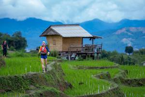 BIB: 
                            <button type="button" onclick="openModal(18622844)" class="btn btn-primary btn-sm float-right btn-popup" data-toggle="modal" data-target=".modal-high-quality">
                        <i class="fas fa-shopping-cart"></i> Add to Cart
                    </button>
                                            <button type="button" onclick="isThisMe(18622844, true)" class="btn btn-success btn-sm float-right btn-popup btn-isme hidden" data-toggle="tooltip" data-placement="bottom" title="นี่คือรูปของคุณใช่ไหม คลิกที่นี่เพื่อเอาเข้าอัลบั้ม">
                        <i class="fas fa-plus"></i> Add to album
                    </button>
                    <button type="button" onclick="isThisMe(18622844, false)" class="btn btn-warning btn-sm float-right btn-popup btn-isnotme hidden">
                        <i class="fas fa-ban"></i> Remove from album
                    </button>