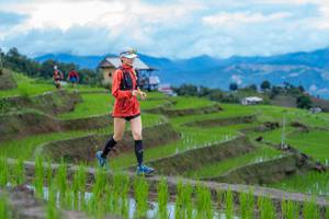 BIB: 
                            <button type="button" onclick="openModal(18622853)" class="btn btn-primary btn-sm float-right btn-popup" data-toggle="modal" data-target=".modal-high-quality">
                        <i class="fas fa-shopping-cart"></i> Add to Cart
                    </button>
                                            <button type="button" onclick="isThisMe(18622853, true)" class="btn btn-success btn-sm float-right btn-popup btn-isme hidden" data-toggle="tooltip" data-placement="bottom" title="นี่คือรูปของคุณใช่ไหม คลิกที่นี่เพื่อเอาเข้าอัลบั้ม">
                        <i class="fas fa-plus"></i> Add to album
                    </button>
                    <button type="button" onclick="isThisMe(18622853, false)" class="btn btn-warning btn-sm float-right btn-popup btn-isnotme hidden">
                        <i class="fas fa-ban"></i> Remove from album
                    </button>