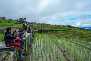 BIB: 
                            <button type="button" onclick="openModal(18623104)" class="btn btn-primary btn-sm float-right btn-popup" data-toggle="modal" data-target=".modal-high-quality">
                        <i class="fas fa-shopping-cart"></i> Add to Cart
                    </button>
                                            <button type="button" onclick="isThisMe(18623104, true)" class="btn btn-success btn-sm float-right btn-popup btn-isme hidden" data-toggle="tooltip" data-placement="bottom" title="นี่คือรูปของคุณใช่ไหม คลิกที่นี่เพื่อเอาเข้าอัลบั้ม">
                        <i class="fas fa-plus"></i> Add to album
                    </button>
                    <button type="button" onclick="isThisMe(18623104, false)" class="btn btn-warning btn-sm float-right btn-popup btn-isnotme hidden">
                        <i class="fas fa-ban"></i> Remove from album
                    </button>