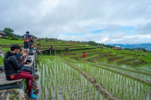 BIB: 
                            <button type="button" onclick="openModal(18623103)" class="btn btn-primary btn-sm float-right btn-popup" data-toggle="modal" data-target=".modal-high-quality">
                        <i class="fas fa-shopping-cart"></i> Add to Cart
                    </button>
                                            <button type="button" onclick="isThisMe(18623103, true)" class="btn btn-success btn-sm float-right btn-popup btn-isme hidden" data-toggle="tooltip" data-placement="bottom" title="นี่คือรูปของคุณใช่ไหม คลิกที่นี่เพื่อเอาเข้าอัลบั้ม">
                        <i class="fas fa-plus"></i> Add to album
                    </button>
                    <button type="button" onclick="isThisMe(18623103, false)" class="btn btn-warning btn-sm float-right btn-popup btn-isnotme hidden">
                        <i class="fas fa-ban"></i> Remove from album
                    </button>