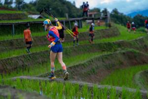 BIB: 
                            <button type="button" onclick="openModal(18622841)" class="btn btn-primary btn-sm float-right btn-popup" data-toggle="modal" data-target=".modal-high-quality">
                        <i class="fas fa-shopping-cart"></i> Add to Cart
                    </button>
                                            <button type="button" onclick="isThisMe(18622841, true)" class="btn btn-success btn-sm float-right btn-popup btn-isme hidden" data-toggle="tooltip" data-placement="bottom" title="นี่คือรูปของคุณใช่ไหม คลิกที่นี่เพื่อเอาเข้าอัลบั้ม">
                        <i class="fas fa-plus"></i> Add to album
                    </button>
                    <button type="button" onclick="isThisMe(18622841, false)" class="btn btn-warning btn-sm float-right btn-popup btn-isnotme hidden">
                        <i class="fas fa-ban"></i> Remove from album
                    </button>