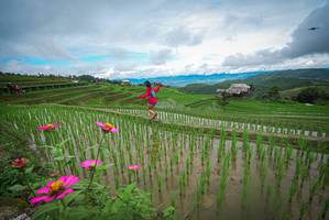 BIB: 
                            <button type="button" onclick="openModal(18637955)" class="btn btn-primary btn-sm float-right btn-popup" data-toggle="modal" data-target=".modal-high-quality">
                        <i class="fas fa-shopping-cart"></i> Add to Cart
                    </button>
                                            <button type="button" onclick="isThisMe(18637955, true)" class="btn btn-success btn-sm float-right btn-popup btn-isme hidden" data-toggle="tooltip" data-placement="bottom" title="นี่คือรูปของคุณใช่ไหม คลิกที่นี่เพื่อเอาเข้าอัลบั้ม">
                        <i class="fas fa-plus"></i> Add to album
                    </button>
                    <button type="button" onclick="isThisMe(18637955, false)" class="btn btn-warning btn-sm float-right btn-popup btn-isnotme hidden">
                        <i class="fas fa-ban"></i> Remove from album
                    </button>