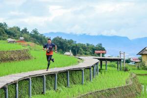 BIB: 
                            <button type="button" onclick="openModal(18628970)" class="btn btn-primary btn-sm float-right btn-popup" data-toggle="modal" data-target=".modal-high-quality">
                        <i class="fas fa-shopping-cart"></i> Add to Cart
                    </button>
                                            <button type="button" onclick="isThisMe(18628970, true)" class="btn btn-success btn-sm float-right btn-popup btn-isme hidden" data-toggle="tooltip" data-placement="bottom" title="นี่คือรูปของคุณใช่ไหม คลิกที่นี่เพื่อเอาเข้าอัลบั้ม">
                        <i class="fas fa-plus"></i> Add to album
                    </button>
                    <button type="button" onclick="isThisMe(18628970, false)" class="btn btn-warning btn-sm float-right btn-popup btn-isnotme hidden">
                        <i class="fas fa-ban"></i> Remove from album
                    </button>