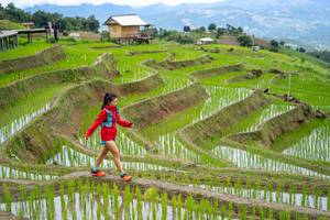 BIB: 
                            <button type="button" onclick="openModal(18628571)" class="btn btn-primary btn-sm float-right btn-popup" data-toggle="modal" data-target=".modal-high-quality">
                        <i class="fas fa-shopping-cart"></i> Add to Cart
                    </button>
                                            <button type="button" onclick="isThisMe(18628571, true)" class="btn btn-success btn-sm float-right btn-popup btn-isme hidden" data-toggle="tooltip" data-placement="bottom" title="นี่คือรูปของคุณใช่ไหม คลิกที่นี่เพื่อเอาเข้าอัลบั้ม">
                        <i class="fas fa-plus"></i> Add to album
                    </button>
                    <button type="button" onclick="isThisMe(18628571, false)" class="btn btn-warning btn-sm float-right btn-popup btn-isnotme hidden">
                        <i class="fas fa-ban"></i> Remove from album
                    </button>