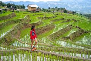 BIB: 
                            <button type="button" onclick="openModal(18628576)" class="btn btn-primary btn-sm float-right btn-popup" data-toggle="modal" data-target=".modal-high-quality">
                        <i class="fas fa-shopping-cart"></i> Add to Cart
                    </button>
                                            <button type="button" onclick="isThisMe(18628576, true)" class="btn btn-success btn-sm float-right btn-popup btn-isme hidden" data-toggle="tooltip" data-placement="bottom" title="นี่คือรูปของคุณใช่ไหม คลิกที่นี่เพื่อเอาเข้าอัลบั้ม">
                        <i class="fas fa-plus"></i> Add to album
                    </button>
                    <button type="button" onclick="isThisMe(18628576, false)" class="btn btn-warning btn-sm float-right btn-popup btn-isnotme hidden">
                        <i class="fas fa-ban"></i> Remove from album
                    </button>