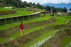 BIB: 
                            <button type="button" onclick="openModal(18628562)" class="btn btn-primary btn-sm float-right btn-popup" data-toggle="modal" data-target=".modal-high-quality">
                        <i class="fas fa-shopping-cart"></i> Add to Cart
                    </button>
                                            <button type="button" onclick="isThisMe(18628562, true)" class="btn btn-success btn-sm float-right btn-popup btn-isme hidden" data-toggle="tooltip" data-placement="bottom" title="นี่คือรูปของคุณใช่ไหม คลิกที่นี่เพื่อเอาเข้าอัลบั้ม">
                        <i class="fas fa-plus"></i> Add to album
                    </button>
                    <button type="button" onclick="isThisMe(18628562, false)" class="btn btn-warning btn-sm float-right btn-popup btn-isnotme hidden">
                        <i class="fas fa-ban"></i> Remove from album
                    </button>