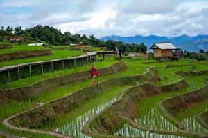 BIB: 
                            <button type="button" onclick="openModal(18628560)" class="btn btn-primary btn-sm float-right btn-popup" data-toggle="modal" data-target=".modal-high-quality">
                        <i class="fas fa-shopping-cart"></i> Add to Cart
                    </button>
                                            <button type="button" onclick="isThisMe(18628560, true)" class="btn btn-success btn-sm float-right btn-popup btn-isme hidden" data-toggle="tooltip" data-placement="bottom" title="นี่คือรูปของคุณใช่ไหม คลิกที่นี่เพื่อเอาเข้าอัลบั้ม">
                        <i class="fas fa-plus"></i> Add to album
                    </button>
                    <button type="button" onclick="isThisMe(18628560, false)" class="btn btn-warning btn-sm float-right btn-popup btn-isnotme hidden">
                        <i class="fas fa-ban"></i> Remove from album
                    </button>