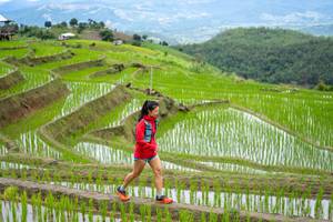 BIB: 
                            <button type="button" onclick="openModal(18628586)" class="btn btn-primary btn-sm float-right btn-popup" data-toggle="modal" data-target=".modal-high-quality">
                        <i class="fas fa-shopping-cart"></i> Add to Cart
                    </button>
                                            <button type="button" onclick="isThisMe(18628586, true)" class="btn btn-success btn-sm float-right btn-popup btn-isme hidden" data-toggle="tooltip" data-placement="bottom" title="นี่คือรูปของคุณใช่ไหม คลิกที่นี่เพื่อเอาเข้าอัลบั้ม">
                        <i class="fas fa-plus"></i> Add to album
                    </button>
                    <button type="button" onclick="isThisMe(18628586, false)" class="btn btn-warning btn-sm float-right btn-popup btn-isnotme hidden">
                        <i class="fas fa-ban"></i> Remove from album
                    </button>