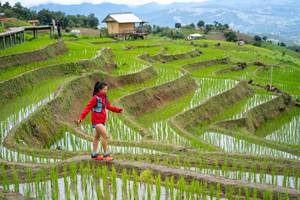 BIB: 
                            <button type="button" onclick="openModal(18628573)" class="btn btn-primary btn-sm float-right btn-popup" data-toggle="modal" data-target=".modal-high-quality">
                        <i class="fas fa-shopping-cart"></i> Add to Cart
                    </button>
                                            <button type="button" onclick="isThisMe(18628573, true)" class="btn btn-success btn-sm float-right btn-popup btn-isme hidden" data-toggle="tooltip" data-placement="bottom" title="นี่คือรูปของคุณใช่ไหม คลิกที่นี่เพื่อเอาเข้าอัลบั้ม">
                        <i class="fas fa-plus"></i> Add to album
                    </button>
                    <button type="button" onclick="isThisMe(18628573, false)" class="btn btn-warning btn-sm float-right btn-popup btn-isnotme hidden">
                        <i class="fas fa-ban"></i> Remove from album
                    </button>