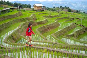 BIB: 
                            <button type="button" onclick="openModal(18628574)" class="btn btn-primary btn-sm float-right btn-popup" data-toggle="modal" data-target=".modal-high-quality">
                        <i class="fas fa-shopping-cart"></i> Add to Cart
                    </button>
                                            <button type="button" onclick="isThisMe(18628574, true)" class="btn btn-success btn-sm float-right btn-popup btn-isme hidden" data-toggle="tooltip" data-placement="bottom" title="นี่คือรูปของคุณใช่ไหม คลิกที่นี่เพื่อเอาเข้าอัลบั้ม">
                        <i class="fas fa-plus"></i> Add to album
                    </button>
                    <button type="button" onclick="isThisMe(18628574, false)" class="btn btn-warning btn-sm float-right btn-popup btn-isnotme hidden">
                        <i class="fas fa-ban"></i> Remove from album
                    </button>