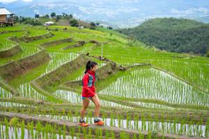 BIB: 
                            <button type="button" onclick="openModal(18628583)" class="btn btn-primary btn-sm float-right btn-popup" data-toggle="modal" data-target=".modal-high-quality">
                        <i class="fas fa-shopping-cart"></i> Add to Cart
                    </button>
                                            <button type="button" onclick="isThisMe(18628583, true)" class="btn btn-success btn-sm float-right btn-popup btn-isme hidden" data-toggle="tooltip" data-placement="bottom" title="นี่คือรูปของคุณใช่ไหม คลิกที่นี่เพื่อเอาเข้าอัลบั้ม">
                        <i class="fas fa-plus"></i> Add to album
                    </button>
                    <button type="button" onclick="isThisMe(18628583, false)" class="btn btn-warning btn-sm float-right btn-popup btn-isnotme hidden">
                        <i class="fas fa-ban"></i> Remove from album
                    </button>