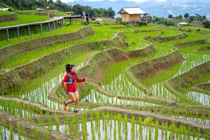 BIB: 
                            <button type="button" onclick="openModal(18628566)" class="btn btn-primary btn-sm float-right btn-popup" data-toggle="modal" data-target=".modal-high-quality">
                        <i class="fas fa-shopping-cart"></i> Add to Cart
                    </button>
                                            <button type="button" onclick="isThisMe(18628566, true)" class="btn btn-success btn-sm float-right btn-popup btn-isme hidden" data-toggle="tooltip" data-placement="bottom" title="นี่คือรูปของคุณใช่ไหม คลิกที่นี่เพื่อเอาเข้าอัลบั้ม">
                        <i class="fas fa-plus"></i> Add to album
                    </button>
                    <button type="button" onclick="isThisMe(18628566, false)" class="btn btn-warning btn-sm float-right btn-popup btn-isnotme hidden">
                        <i class="fas fa-ban"></i> Remove from album
                    </button>