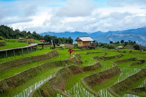 BIB: 
                            <button type="button" onclick="openModal(18628556)" class="btn btn-primary btn-sm float-right btn-popup" data-toggle="modal" data-target=".modal-high-quality">
                        <i class="fas fa-shopping-cart"></i> Add to Cart
                    </button>
                                            <button type="button" onclick="isThisMe(18628556, true)" class="btn btn-success btn-sm float-right btn-popup btn-isme hidden" data-toggle="tooltip" data-placement="bottom" title="นี่คือรูปของคุณใช่ไหม คลิกที่นี่เพื่อเอาเข้าอัลบั้ม">
                        <i class="fas fa-plus"></i> Add to album
                    </button>
                    <button type="button" onclick="isThisMe(18628556, false)" class="btn btn-warning btn-sm float-right btn-popup btn-isnotme hidden">
                        <i class="fas fa-ban"></i> Remove from album
                    </button>