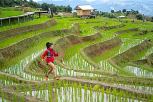 BIB: 
                            <button type="button" onclick="openModal(18628567)" class="btn btn-primary btn-sm float-right btn-popup" data-toggle="modal" data-target=".modal-high-quality">
                        <i class="fas fa-shopping-cart"></i> Add to Cart
                    </button>
                                            <button type="button" onclick="isThisMe(18628567, true)" class="btn btn-success btn-sm float-right btn-popup btn-isme hidden" data-toggle="tooltip" data-placement="bottom" title="นี่คือรูปของคุณใช่ไหม คลิกที่นี่เพื่อเอาเข้าอัลบั้ม">
                        <i class="fas fa-plus"></i> Add to album
                    </button>
                    <button type="button" onclick="isThisMe(18628567, false)" class="btn btn-warning btn-sm float-right btn-popup btn-isnotme hidden">
                        <i class="fas fa-ban"></i> Remove from album
                    </button>