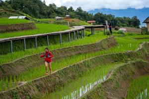 BIB: 
                            <button type="button" onclick="openModal(18628561)" class="btn btn-primary btn-sm float-right btn-popup" data-toggle="modal" data-target=".modal-high-quality">
                        <i class="fas fa-shopping-cart"></i> Add to Cart
                    </button>
                                            <button type="button" onclick="isThisMe(18628561, true)" class="btn btn-success btn-sm float-right btn-popup btn-isme hidden" data-toggle="tooltip" data-placement="bottom" title="นี่คือรูปของคุณใช่ไหม คลิกที่นี่เพื่อเอาเข้าอัลบั้ม">
                        <i class="fas fa-plus"></i> Add to album
                    </button>
                    <button type="button" onclick="isThisMe(18628561, false)" class="btn btn-warning btn-sm float-right btn-popup btn-isnotme hidden">
                        <i class="fas fa-ban"></i> Remove from album
                    </button>