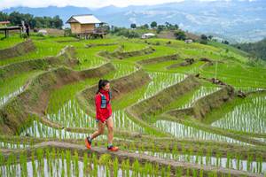 BIB: 
                            <button type="button" onclick="openModal(18628578)" class="btn btn-primary btn-sm float-right btn-popup" data-toggle="modal" data-target=".modal-high-quality">
                        <i class="fas fa-shopping-cart"></i> Add to Cart
                    </button>
                                            <button type="button" onclick="isThisMe(18628578, true)" class="btn btn-success btn-sm float-right btn-popup btn-isme hidden" data-toggle="tooltip" data-placement="bottom" title="นี่คือรูปของคุณใช่ไหม คลิกที่นี่เพื่อเอาเข้าอัลบั้ม">
                        <i class="fas fa-plus"></i> Add to album
                    </button>
                    <button type="button" onclick="isThisMe(18628578, false)" class="btn btn-warning btn-sm float-right btn-popup btn-isnotme hidden">
                        <i class="fas fa-ban"></i> Remove from album
                    </button>