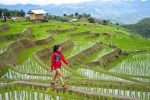 BIB: 
                            <button type="button" onclick="openModal(18628582)" class="btn btn-primary btn-sm float-right btn-popup" data-toggle="modal" data-target=".modal-high-quality">
                        <i class="fas fa-shopping-cart"></i> Add to Cart
                    </button>
                                            <button type="button" onclick="isThisMe(18628582, true)" class="btn btn-success btn-sm float-right btn-popup btn-isme hidden" data-toggle="tooltip" data-placement="bottom" title="นี่คือรูปของคุณใช่ไหม คลิกที่นี่เพื่อเอาเข้าอัลบั้ม">
                        <i class="fas fa-plus"></i> Add to album
                    </button>
                    <button type="button" onclick="isThisMe(18628582, false)" class="btn btn-warning btn-sm float-right btn-popup btn-isnotme hidden">
                        <i class="fas fa-ban"></i> Remove from album
                    </button>