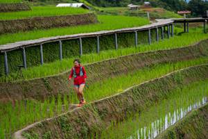 BIB: 
                            <button type="button" onclick="openModal(18628563)" class="btn btn-primary btn-sm float-right btn-popup" data-toggle="modal" data-target=".modal-high-quality">
                        <i class="fas fa-shopping-cart"></i> Add to Cart
                    </button>
                                            <button type="button" onclick="isThisMe(18628563, true)" class="btn btn-success btn-sm float-right btn-popup btn-isme hidden" data-toggle="tooltip" data-placement="bottom" title="นี่คือรูปของคุณใช่ไหม คลิกที่นี่เพื่อเอาเข้าอัลบั้ม">
                        <i class="fas fa-plus"></i> Add to album
                    </button>
                    <button type="button" onclick="isThisMe(18628563, false)" class="btn btn-warning btn-sm float-right btn-popup btn-isnotme hidden">
                        <i class="fas fa-ban"></i> Remove from album
                    </button>